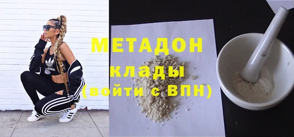 гашик Алексин