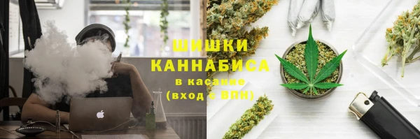 гашик Алексин
