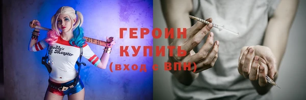 гашик Алексин