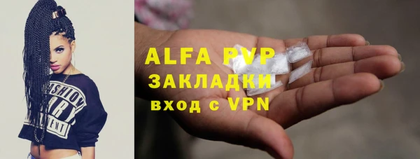 гашик Алексин