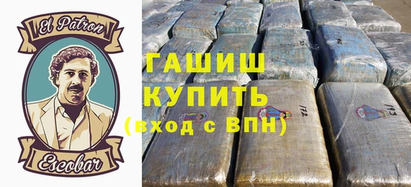 гашик Алексин