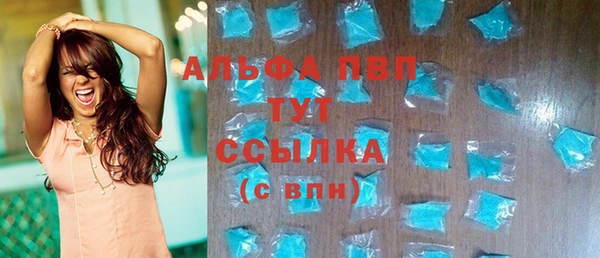 гашик Алексин