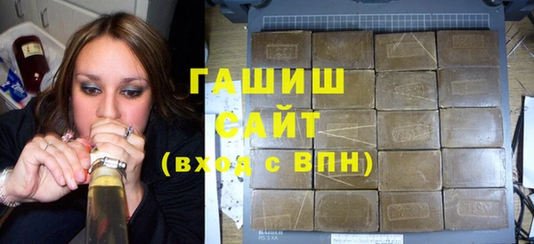 гашик Алексин