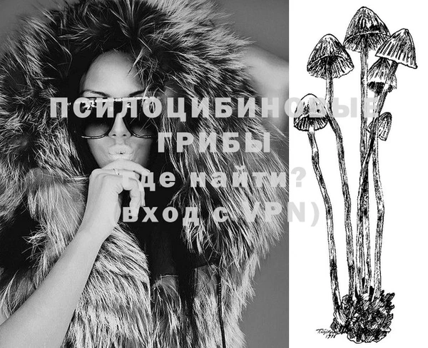 стаф Алексеевка